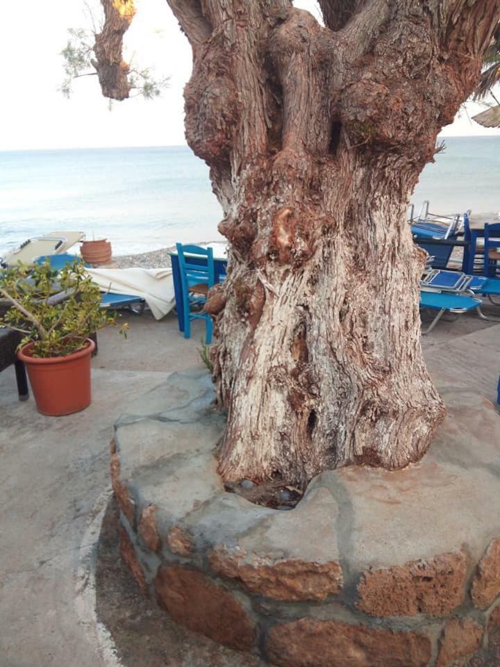 Beach Front Kato Káto Zákros Zewnętrze zdjęcie